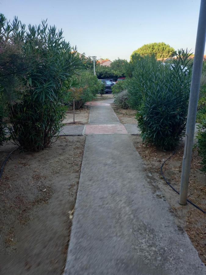 Appartement Saint Cyprien Plage Residence Les Mas De La Mer Eksteriør bilde