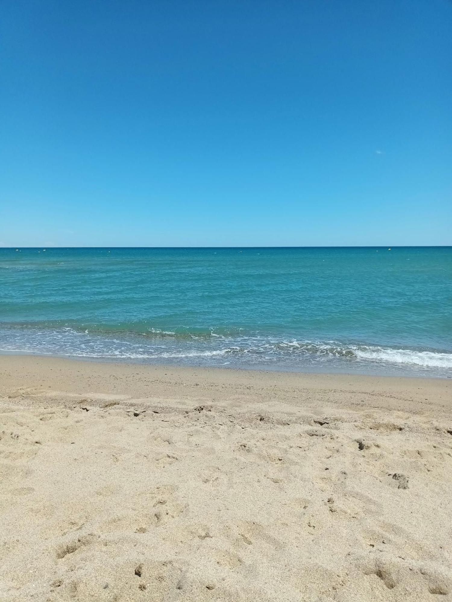 Appartement Saint Cyprien Plage Residence Les Mas De La Mer Eksteriør bilde